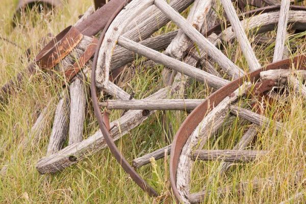 Canada, BC, Fort Steele Wagon wheels in grass